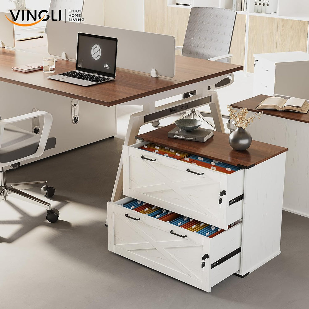 VINGLI 2 Drawer File Cabinet with Lock, Home Office Filing Organizer, for Let...