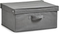 Zeller Foldable Storage Box with Lid, Grey