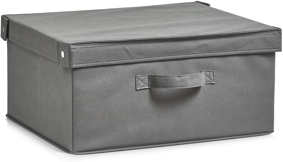 Zeller Foldable Storage Box with Lid, Grey