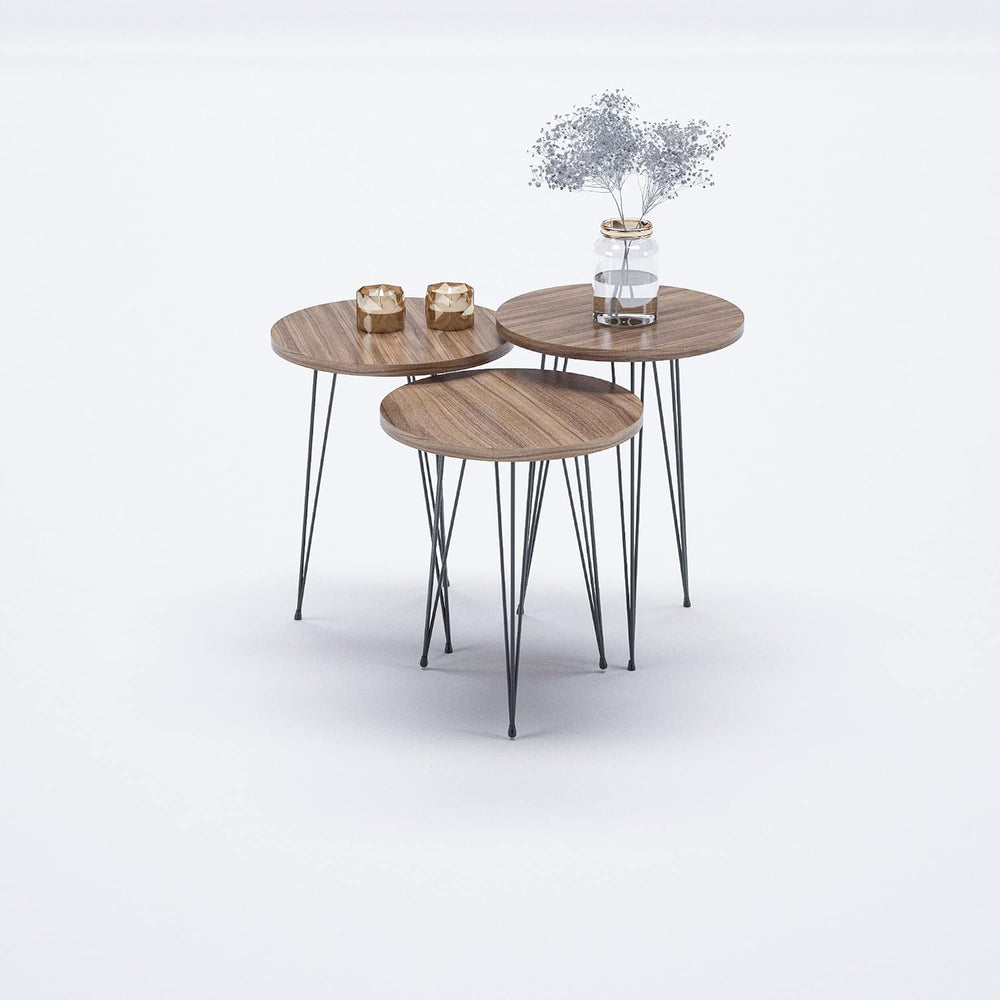 Round Nesting Set of 3, Modern Woodgrain Look Base for Living Room Coffee Tab...
