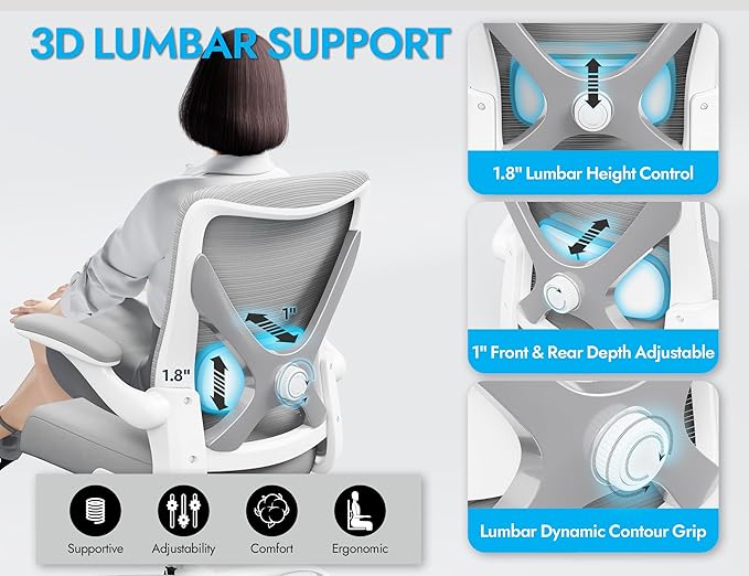 Ergonomic Office Chair with Lumbar Support - Adjustable Computer Desk Chairs for Home Office, Gaming, and Work - Comfortable and Supportive Desk Chairs for Adults(Grey Silver)