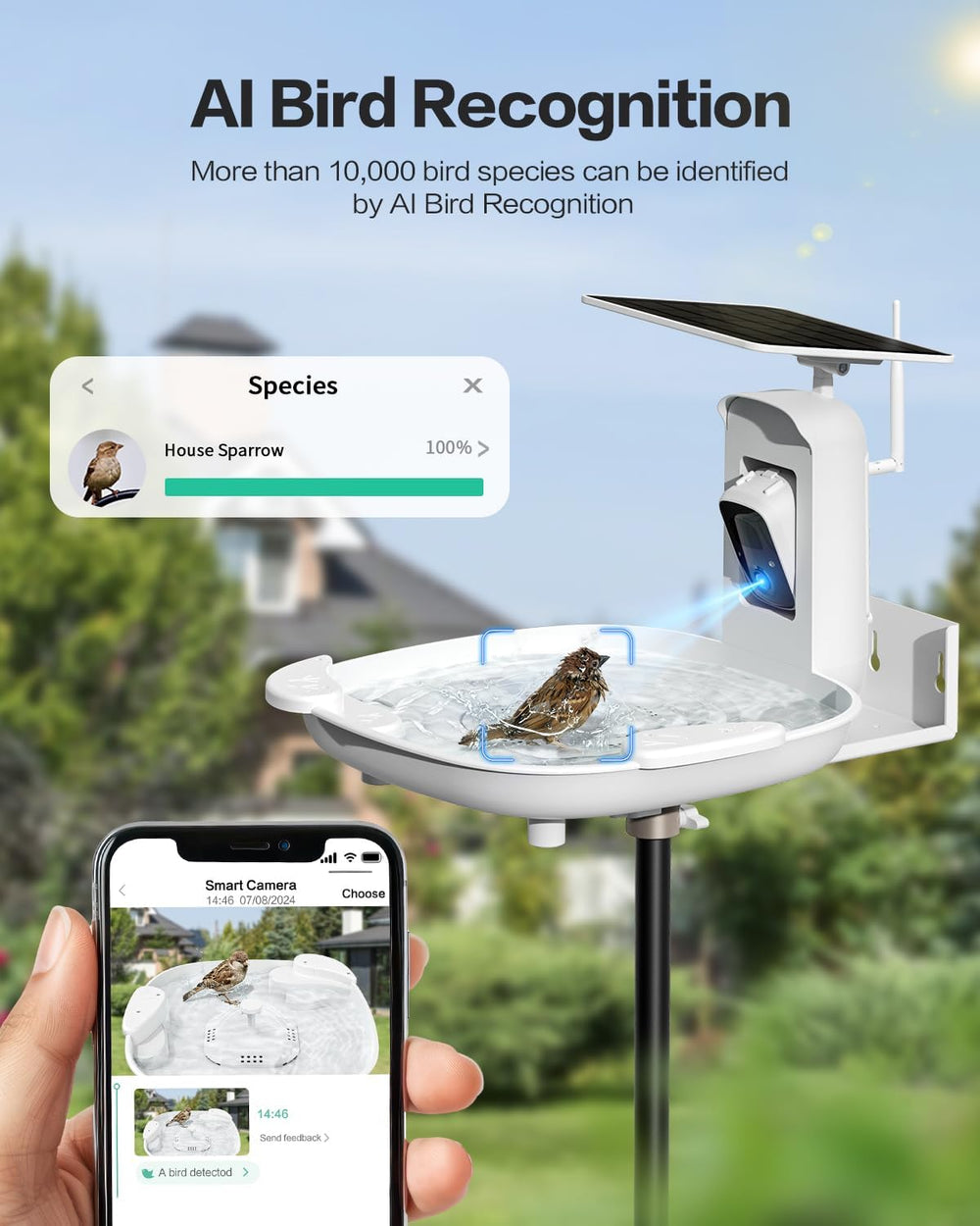 HARYMOR Bird Bath with Camera, Automatic Water Flowing, 2K Bird Camera Captur...