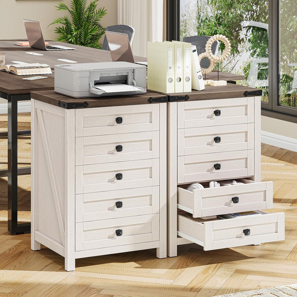 Halitaa 5 Drawer Small File Cabinet, Farmhouse Vertical Filing Cabinet | Unde...