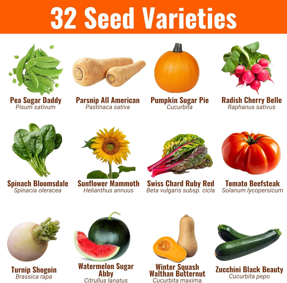 Vegetable & Fruit Seeds, 32 Packs, Non-GMO, 15,000+ Seeds