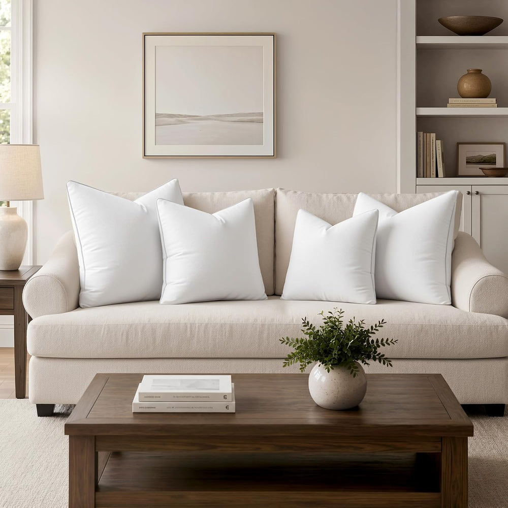 MIULEE 22 x 22 Pillow Inserts (Set of 2) -Decorative Throw Pillows for Sofa C...