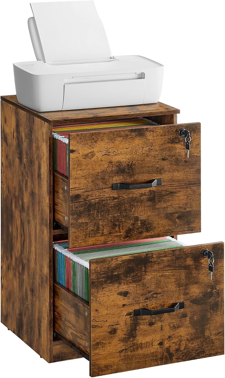 VASAGLE Custos Collection - 2 Drawers File Cabinet with Lock, Printer Stand, ...