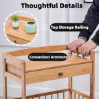 Kitchen Carts on Wheels with Storage, Rolling Storage Cart with Handles, Lockable Wheels, Top Drawer, Utility Carts on Wheels Microwave Stand for Kitchen, Living Room
