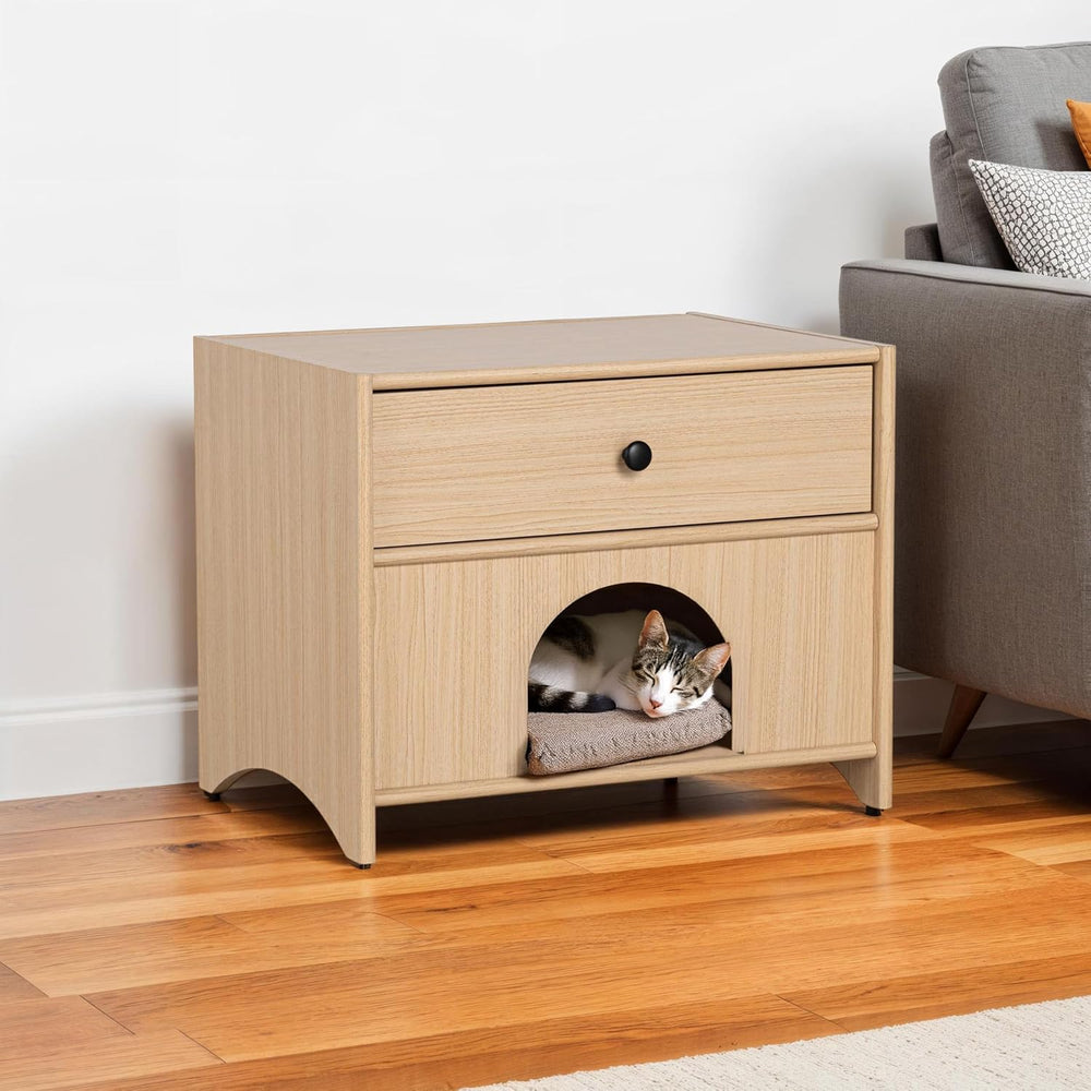 Furniture of America Cole Mid-Century Modern 22-Inch Rectangular Side Table w...