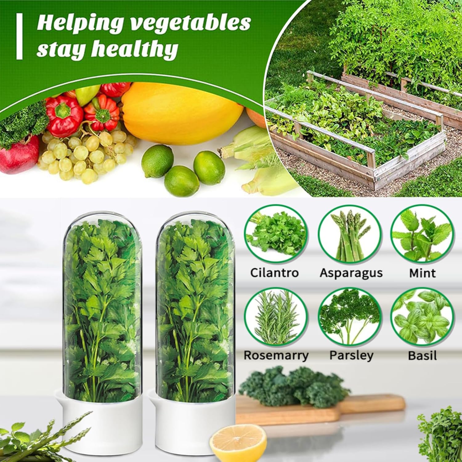 Cilantro Container for Fridge, Herb Saver for Refrigerator - Fresh Herb Keeper for Cilantro, Basil, Asparagus, Parsley, Keeps Greens Vegetables for 2-3 Weeks
