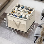 Aokeyee Shoe Organizer for Closet,Foldable Shoe Storage Organizer Box Bin with Adjustable Dividers and Clear Cover, Fits up to 16 Pairs
