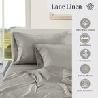 LANE LINEN Pillows Queen Size Set of 2 Soft 100% Egyptian Cotton Cool & Smooth 1000 Thread Count Pillow Cases - Silver