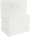 GRANNY SAYS Storage Boxes with Lids, Large Storage Bins with Lids, Decorative Box, Shelves Baskets, Clothes Storage and Organization, 2-Pack