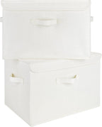 GRANNY SAYS Storage Boxes with Lids, Large Storage Bins with Lids, Decorative Box, Shelves Baskets, Clothes Storage and Organization, 2-Pack