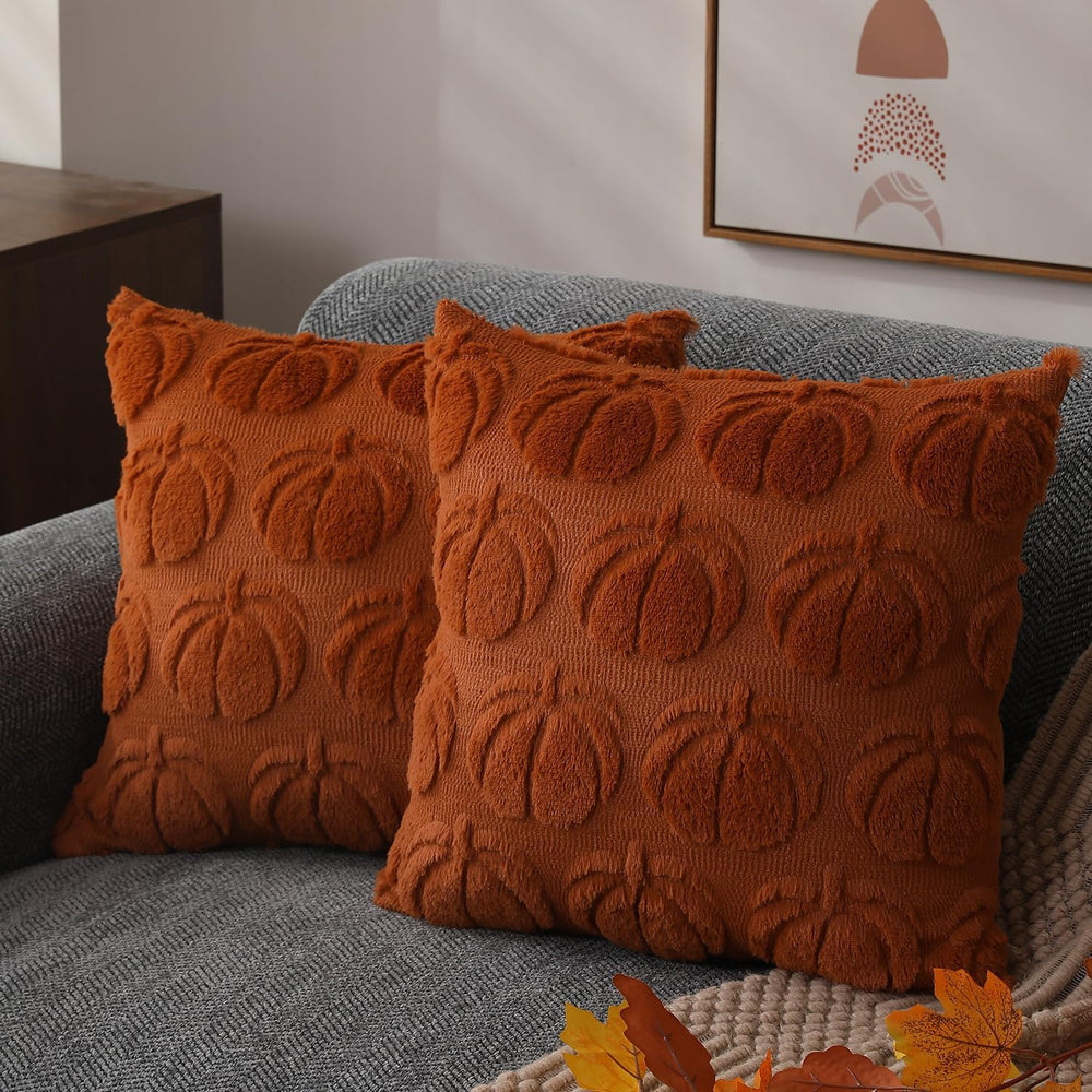 DFXSZ Fall Pillow Covers 24x24 2Pcs Rust Pumpkin Fall Decorations for Home