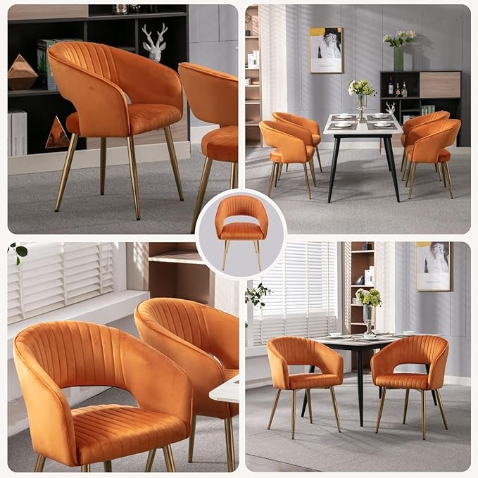 Orange Velvet Dining Chairs Gold Legs, Modern Dining Room Chairs with Arms Set of 2 Upholstered Accent Chair Armchair with Barrel Back for Kitchen Living Room