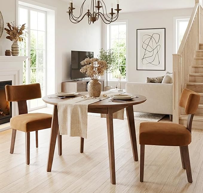 Mid Century Modern Dining Chairs Set of 2, Upholstered Wooden Dining Room Chairs, Farmhouse Kitchen Chairs, Accent Armless Side Chairs with Curved Back for Living Room, Brown Velvet, 2PCS