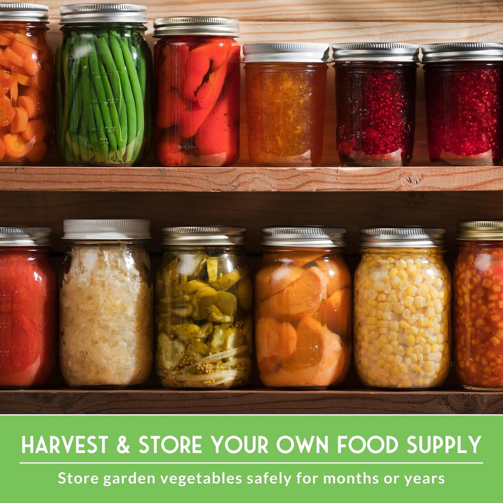 Farmer Seed Vault – 100 Packs of Seed for Heirloom Vegetable Gardens