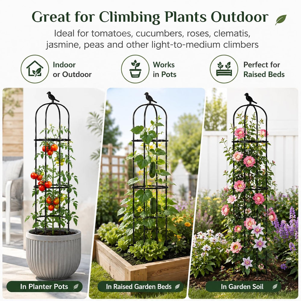 FOLLOOK Garden Obelisk Trellis for Climbing Plants Outdoor, 2 Pack