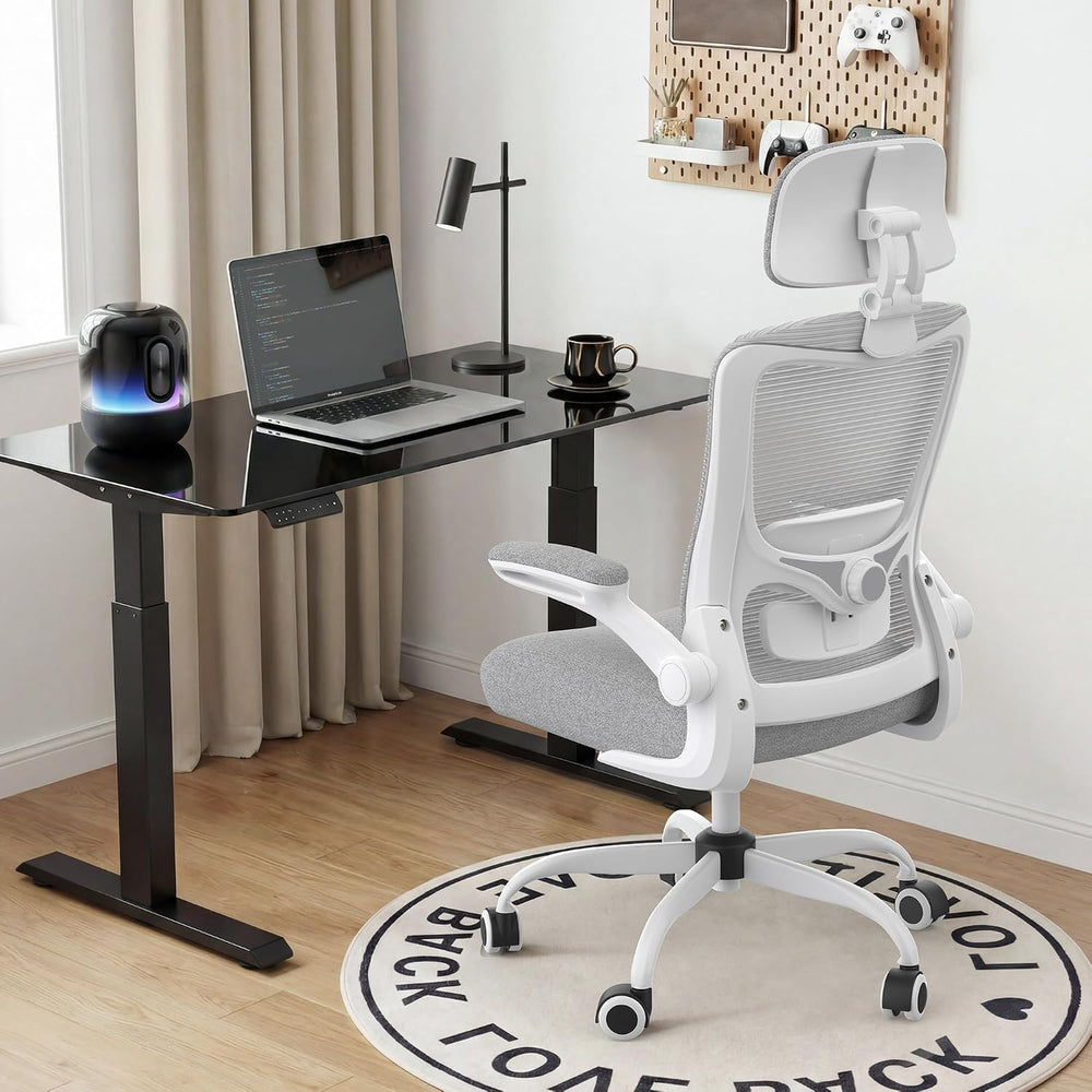 Ergonomic Office Chair for Long Hours, Adjustable Padded Lumbar Support for L...