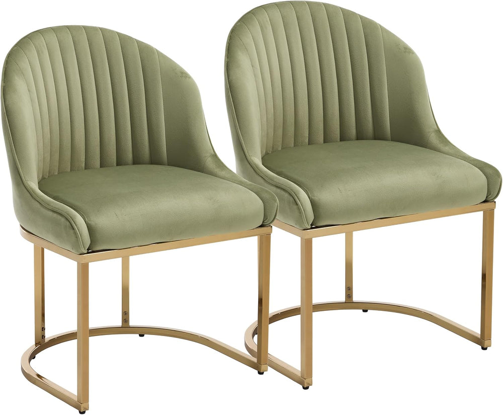Velvet Dining Chairs Set of 2, Upholstered Dining Room Chairs with Silver Met...