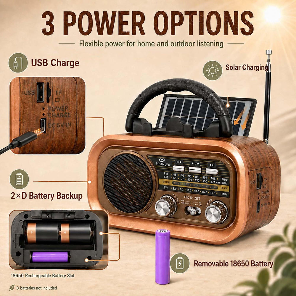 812BT Portable AM FM SW Radio with Bluetooth, TF Card/USB Playback