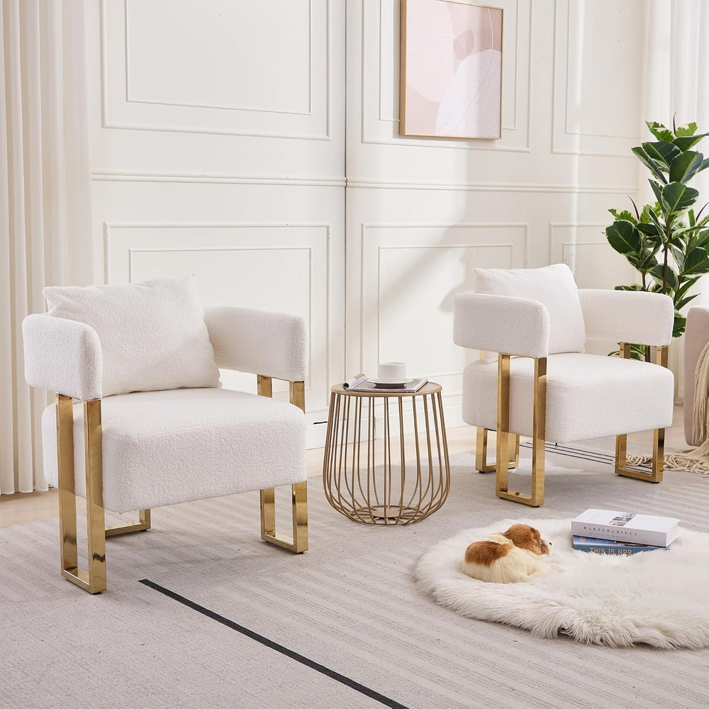 YITAI Modern Accent Chairs no Wheels, Living Room Side Chairs Set of 2 with G...