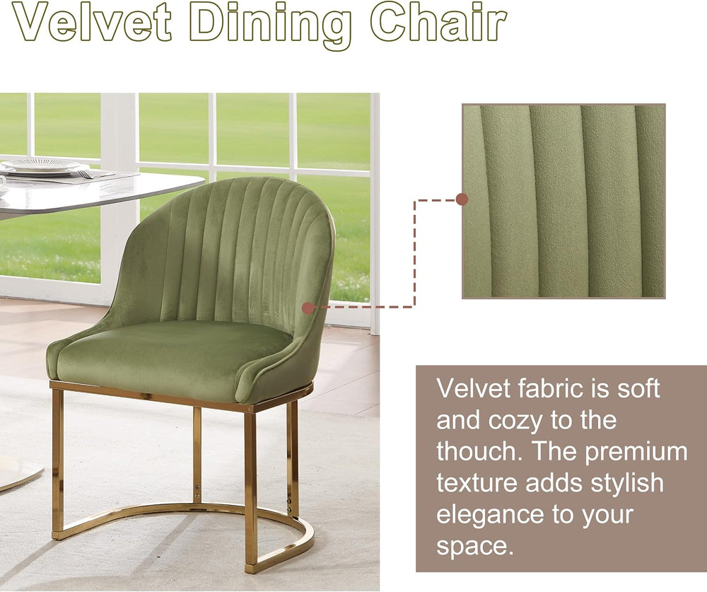 Velvet Dining Chairs Set of 2, Upholstered Dining Room Chairs with Silver Met...