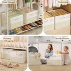 Plus Size 2 Pack Shoe Organizer for Closet, Foldable Shoe Storage Box | 16–24 Pair Shoe Storage for Sneakers, Boots & Heels with Adjustable Dividers, Clear Cover & Space Saving Closet Storage