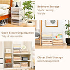 Closet Organizers and Storage, Acrylic Clear Plastic Storage Bins with Magnetic Door, 8 Pack Storage Containers for Clothes Home Organization Purse Bag Cabinet Display Closet Organizer System