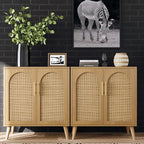 Rovaurx Rattan Storage Cabinet with Doors, Modern Accent Bathroom Floor Cabinet, Sideboard Buffet for Living Room, Entryway, Dining Room and Kitchen, Natural BMGZ108M