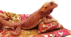 Chaise Lounge for Bearded Dragons, Tie Dye Golden Splash Fabric