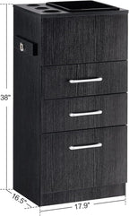 BarberPub Salon Storage Cabinet Beauty Locker Hair Dryer Holder Stylist Spa Equipment with Drawer 2035 (Black)