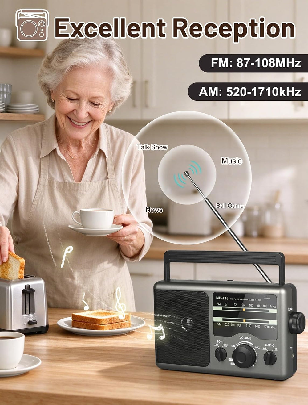 AM FM Portable Radio Battery Operated by 4X D Cell Batteries Or AC Power