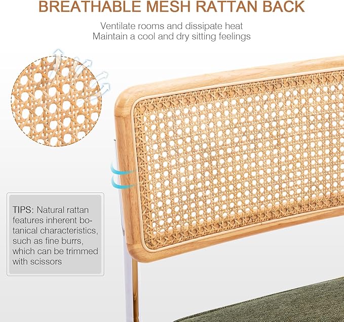 Zesthouse Natural Rattan Dining Chairs Set of 6, Mid Century Modern Dining Ch...