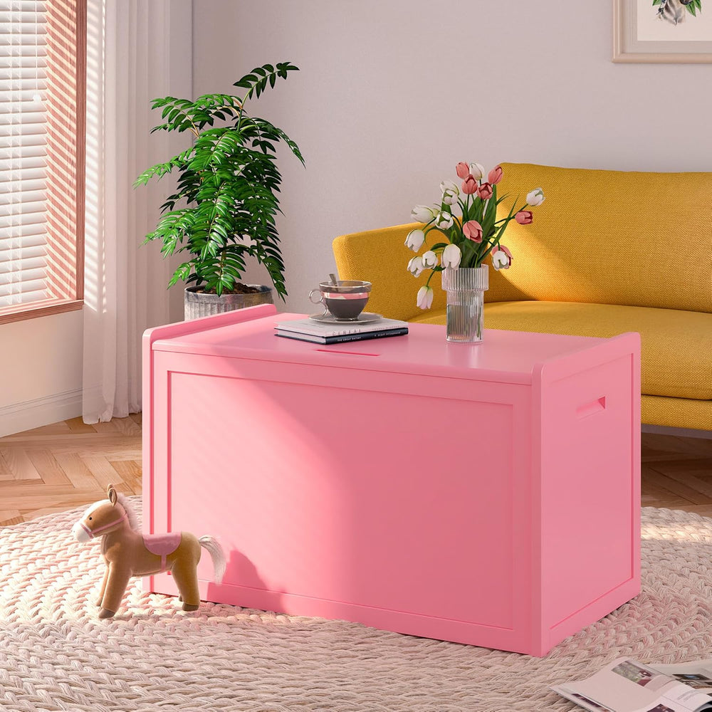 Storage Chest, Entryway Storage Bench with 2 Safety Hinges, Storage Trunk wit...