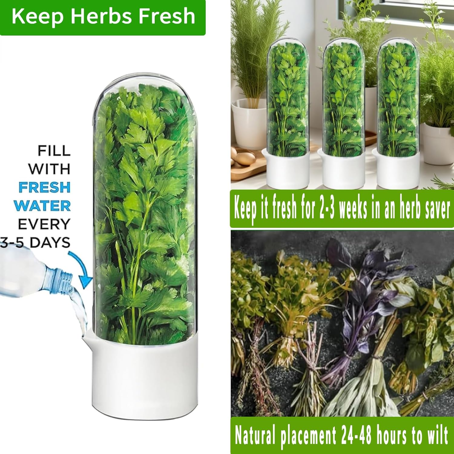 Herb Saver for Refrigerator - Herb Keeper & Cilantro Container for Fridge | Vegetable Preservation Storage Container for Cilantro, Basil, Asparagus | Extends Freshness Up to 2-3 Weeks