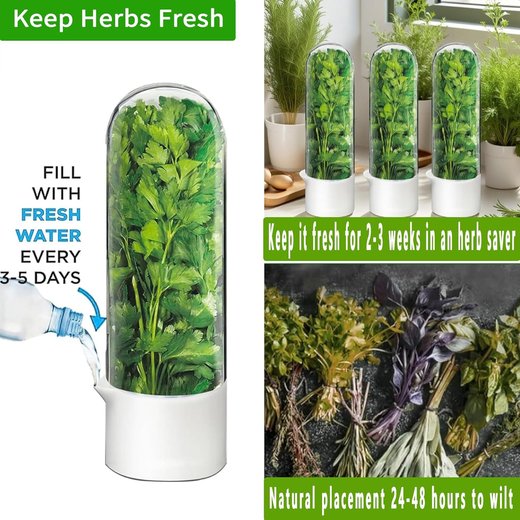 Cilantro Container for Fridge, Herb Saver for Refrigerator - Fresh Herb Keeper for Cilantro, Basil, Asparagus, Parsley, Keeps Greens Vegetables for 2-3 Weeks