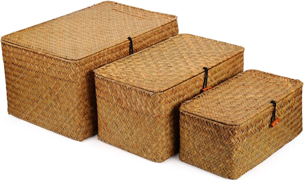 DOKOT Woven Wicker Storage Bins with Lid, Seagrass Basket for Shelf Organizer, Extra Large, Set of 3