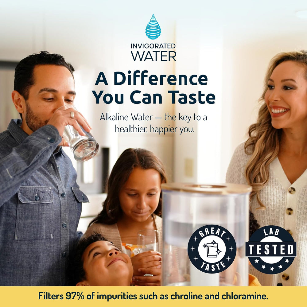 Invigorated Water PH001 Alkaline Water Filter Replacement, White