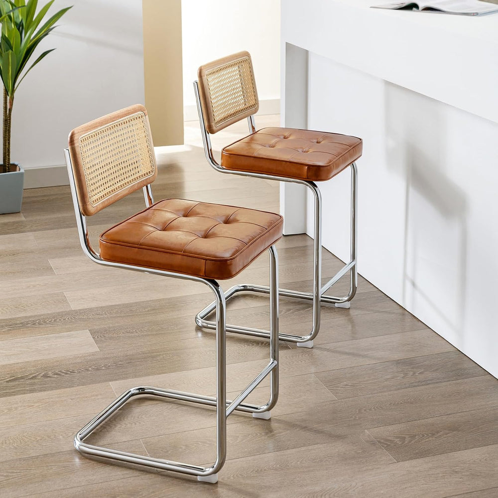 Zesthouse Natural Rattan Counter Stools Set of 2, 26" Modern Boho Barsto...