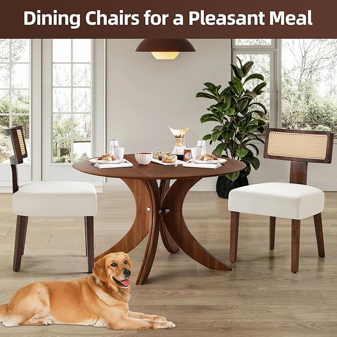 Upholstered Rattan Dining Chairs Set of 4, Mid-Century Modern Fabric Dining Room Chair with Brown Hardwood Frame, Curved Backrest Kitchen Chairs Armless Accent Chairs for Living Room (Cream)