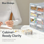 Blue Ginkgo Medium 16-Drawer Cabinet – Stackable Clear Organizer for Hardware, Beads, Plastic Bricks, Office, and Craft Storage (Made in Korea, Gray)