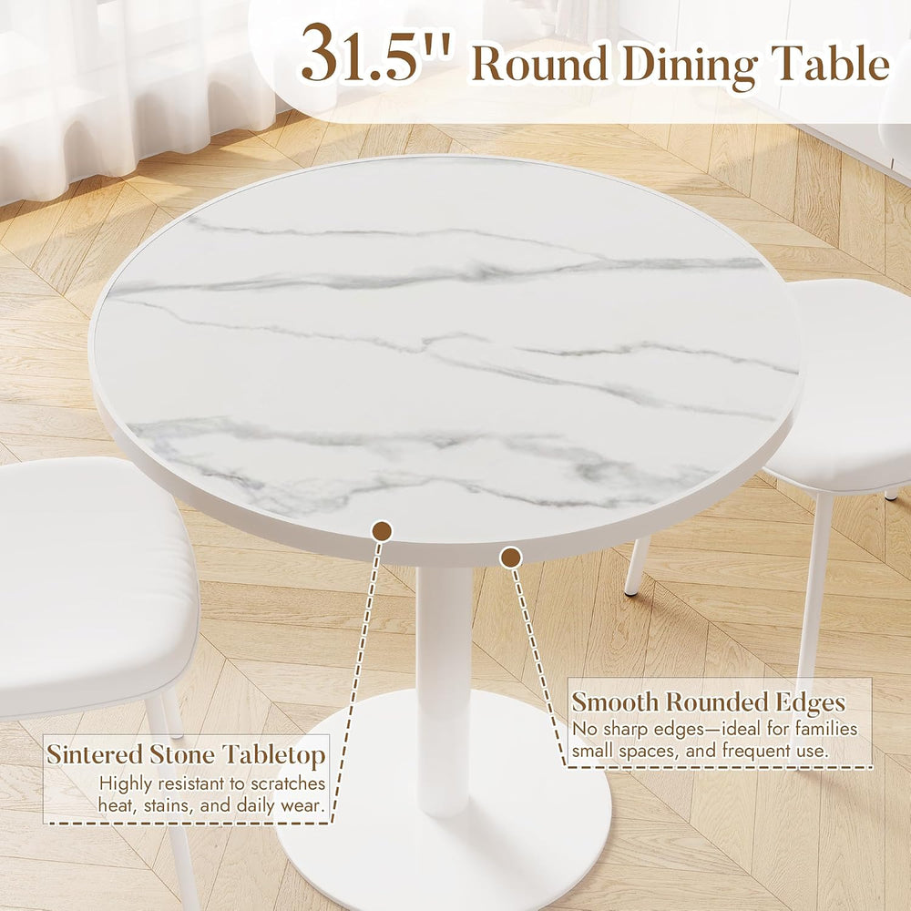 31.5'' Tulip Table, Round Pedestal Dining Table with Sintered Stone T...