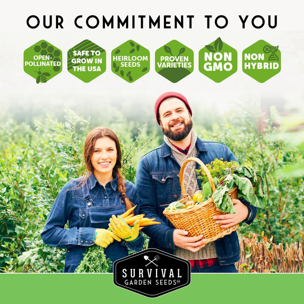 Farmer Seed Vault – 100 Packs of Seed for Heirloom Vegetable Gardens