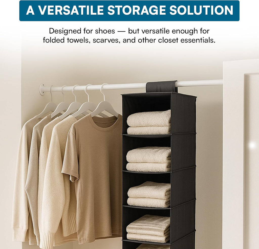 Honey-Can-Do 10-Shelf Hanging Shoe Organizer, Black - Closet Storage Rack for Shoes, Accessories & Clothes, Space Saving