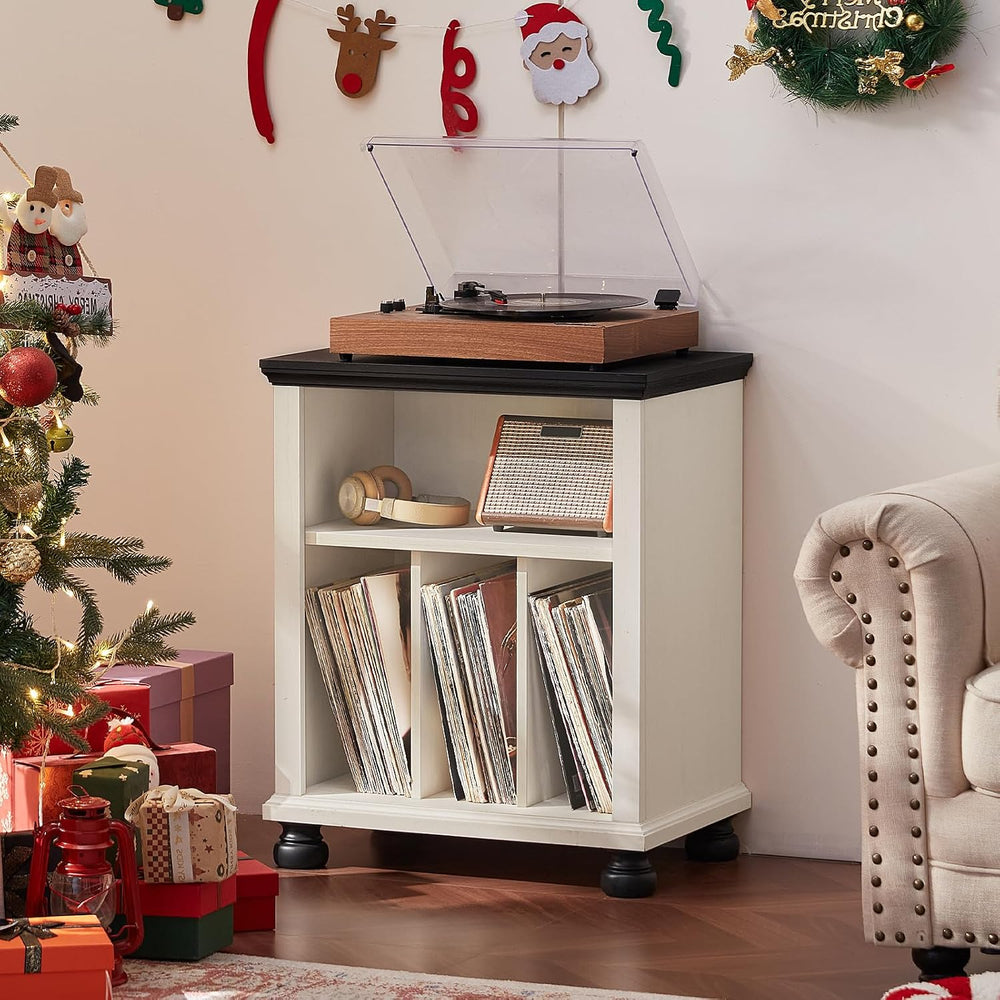 Joaxswe 24" Wide Record Player Stand with Vinyl Record Storage, White