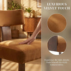 Mid Century Modern Dining Chairs Set of 2, Upholstered Wooden Dining Room Chairs, Farmhouse Kitchen Chairs, Accent Armless Side Chairs with Curved Back for Living Room, Brown Velvet, 2PCS