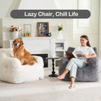 Hobestluk Bean Bag Chair for Adult Small Bean Bag Chairs with Arms Furry Beanbag Chair with Foam Filler Stuffed Bean Bag Sofa for Reading in Bedroom Living Room and Dorms(Grey)
