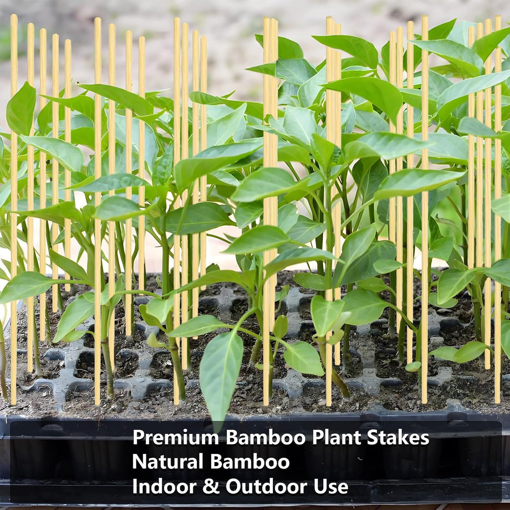 125Pcs 2.5ft/30in Bamboo Plant Stakes, Garden Stakes, Bamboo Stakes for Tomat...