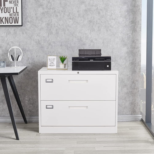 2 Drawer File Cabinet, Lateral Filing Cabinets for Home Office, Office Storage Drawers with Lock, Hanging Files Legal/Letter A4 Size (Assemble Required,White)